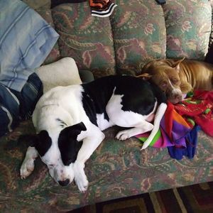 Meet your Posher, Jill